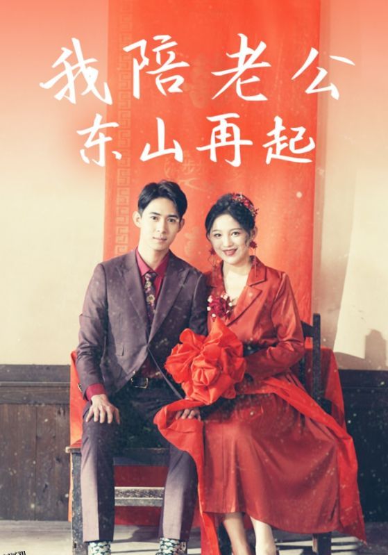 我陪老公东山再起 海报