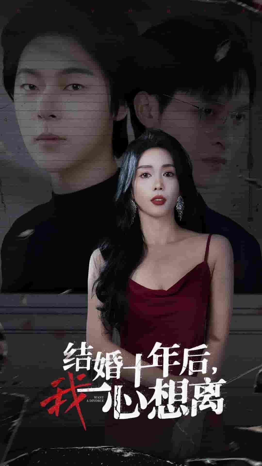 结婚十年后我一心想离 海报