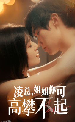 凌总姐姐你可高攀不起 海报