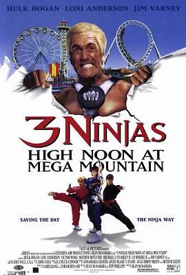 忍者小英雄4 海报