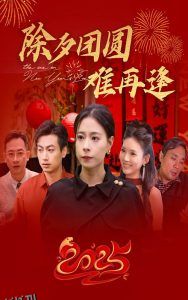除夕团圆难再逢 海报