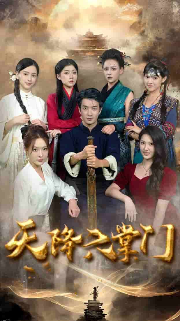 天降六掌门 海报