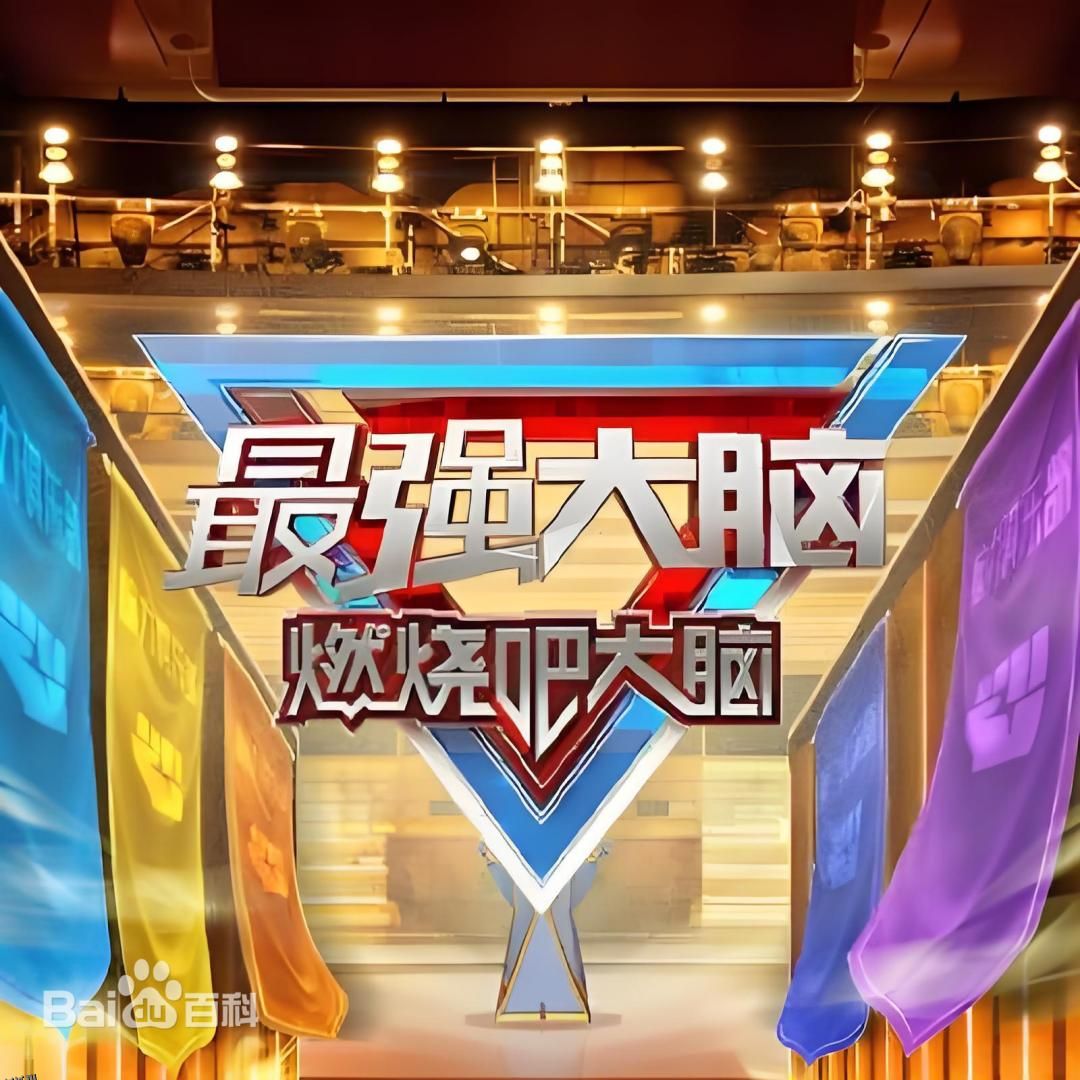 最强大脑 第十三季 海报