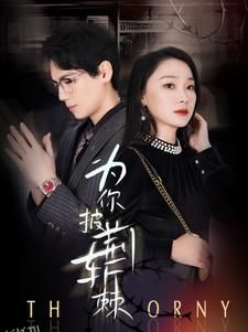 为你披荆斩棘 海报