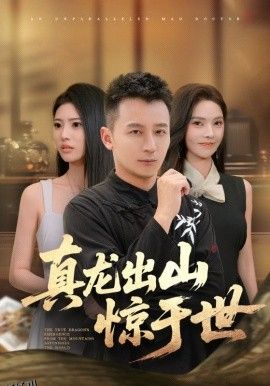 真龙出山惊于世 海报