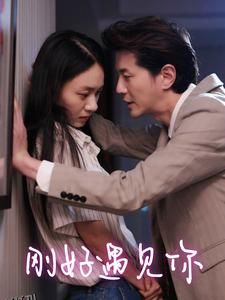 刚好遇见你 海报