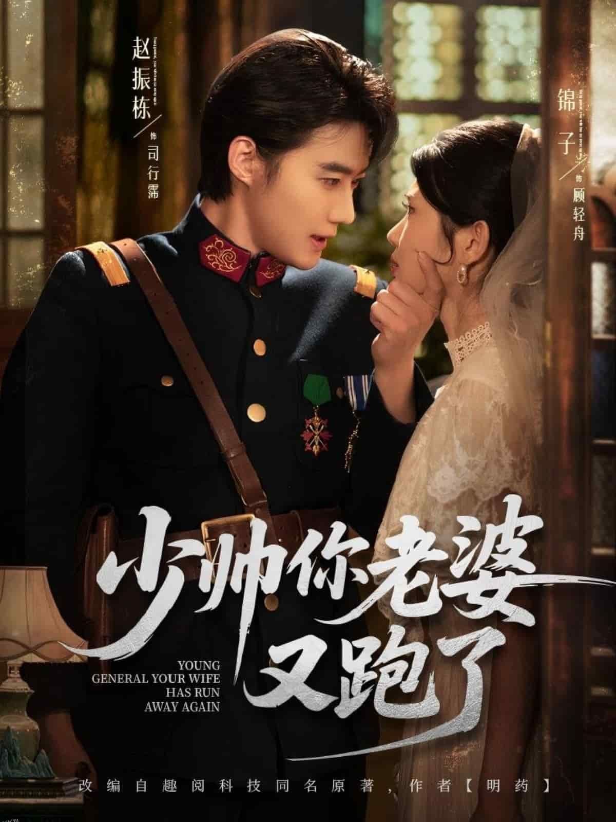 少帅你老婆又跑了 海报