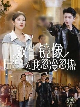 双生镜像陆先生对我忽冷忽热 海报