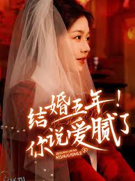 结婚五年你说爱腻了 海报