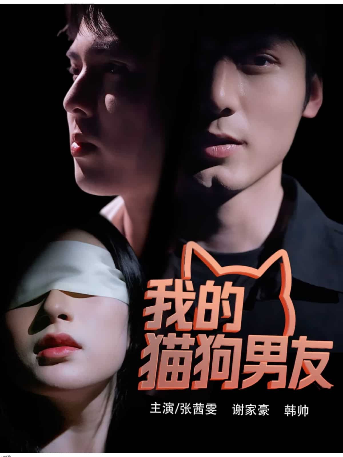 我的猫狗男友 海报