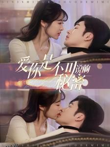 爱你是不可说的秘密 海报