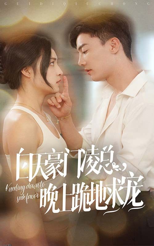 白天豪门凌总晚上跪地求宠 海报