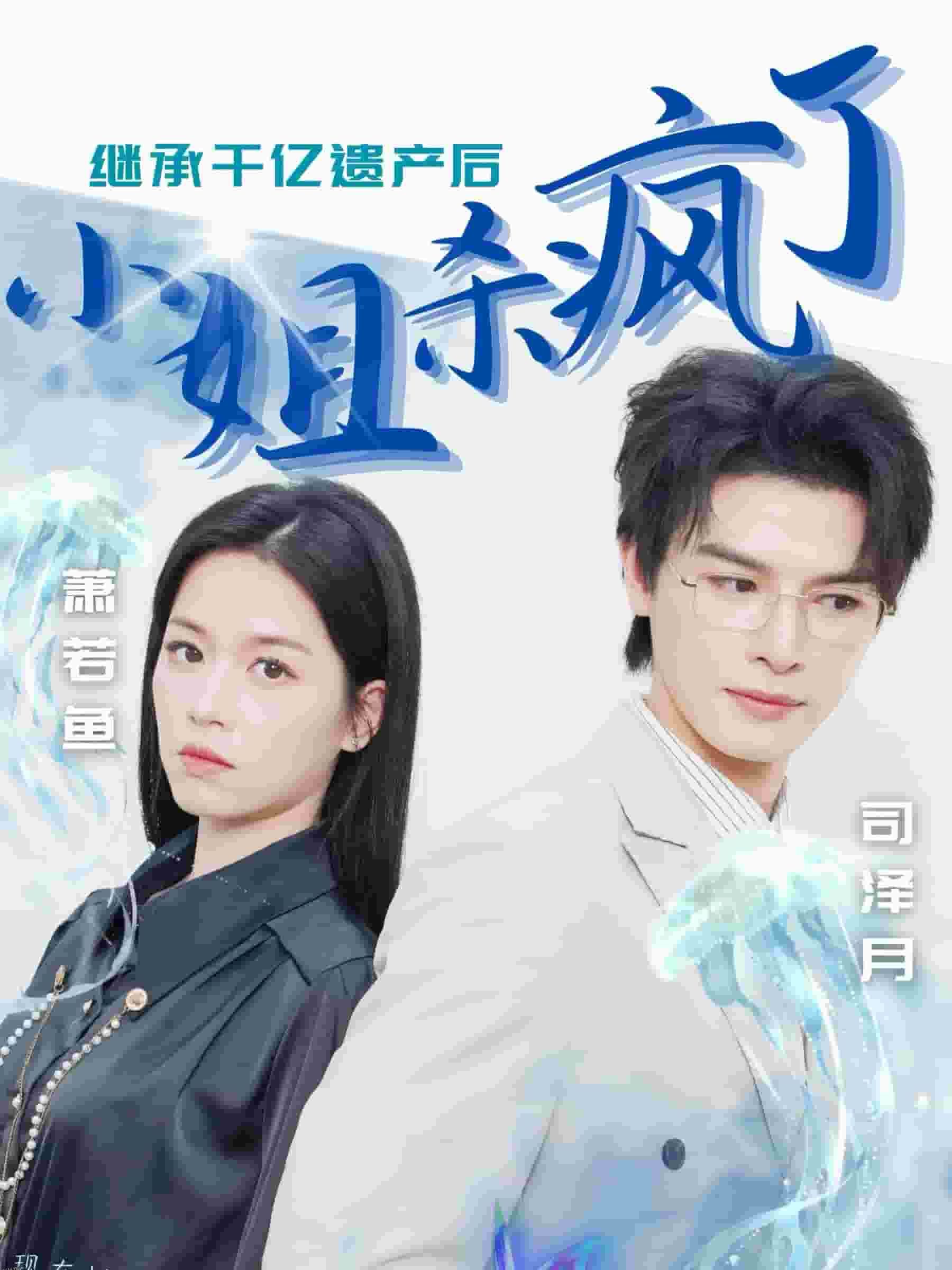 继承千亿遗产后小姐杀疯了 海报