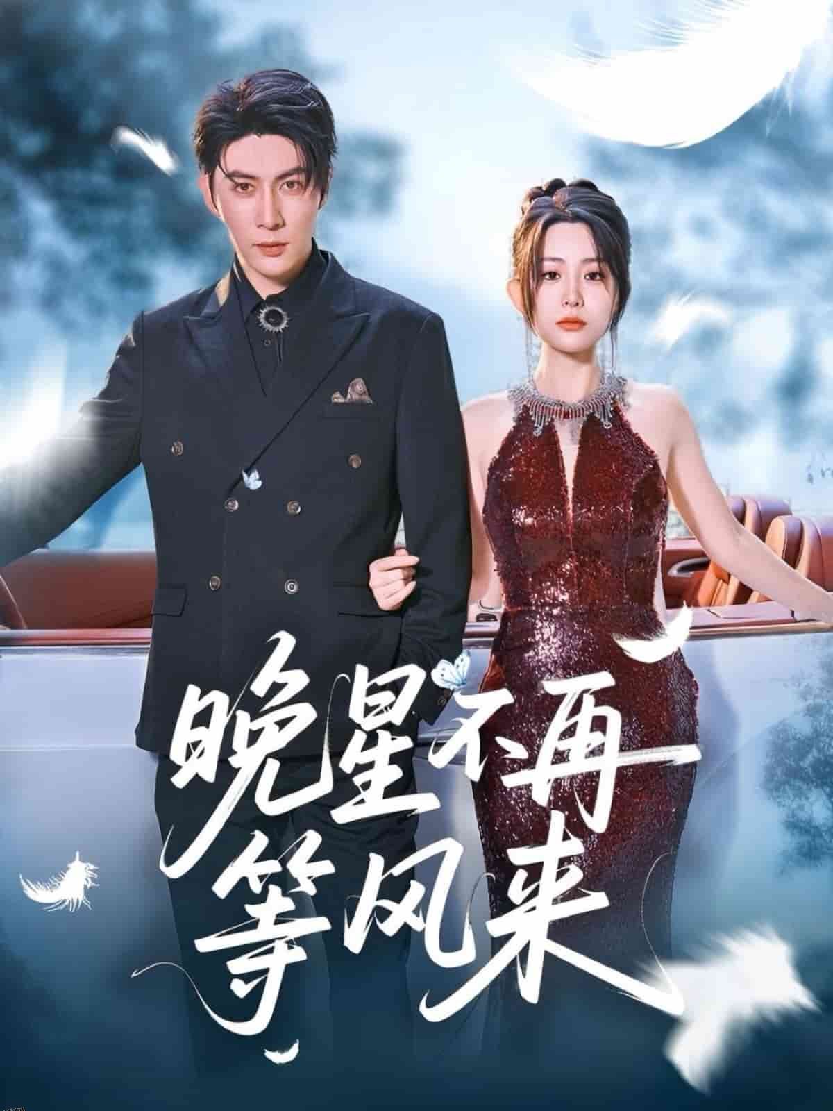 晚星不再等风来 海报