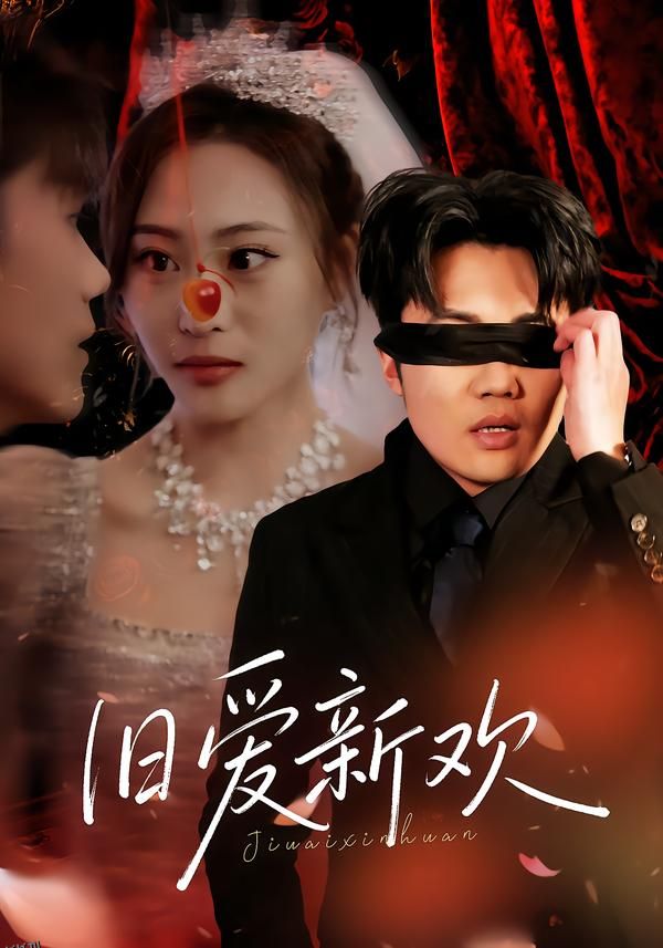 旧爱新欢 海报