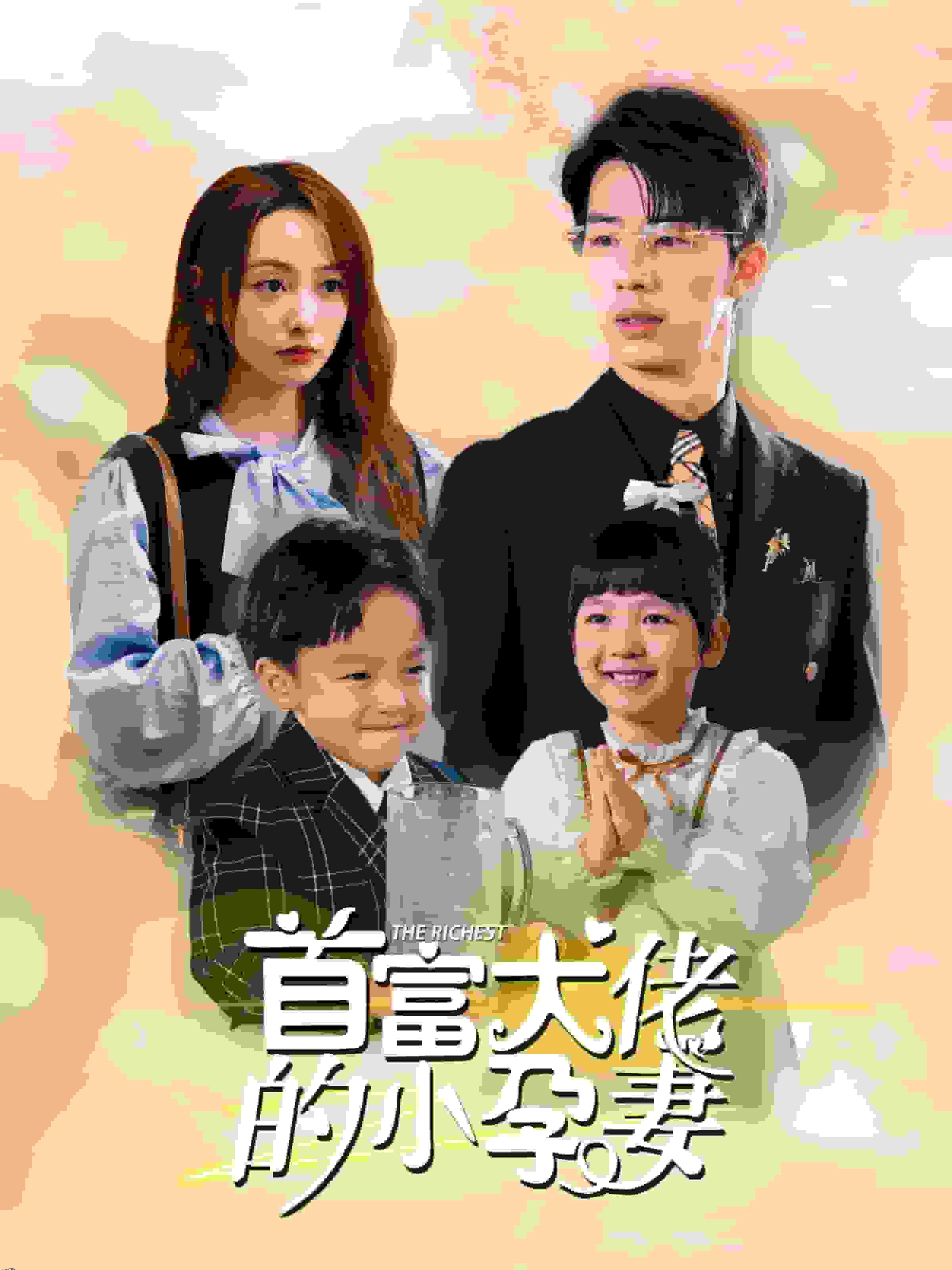 首富大佬的小孕妻 海报