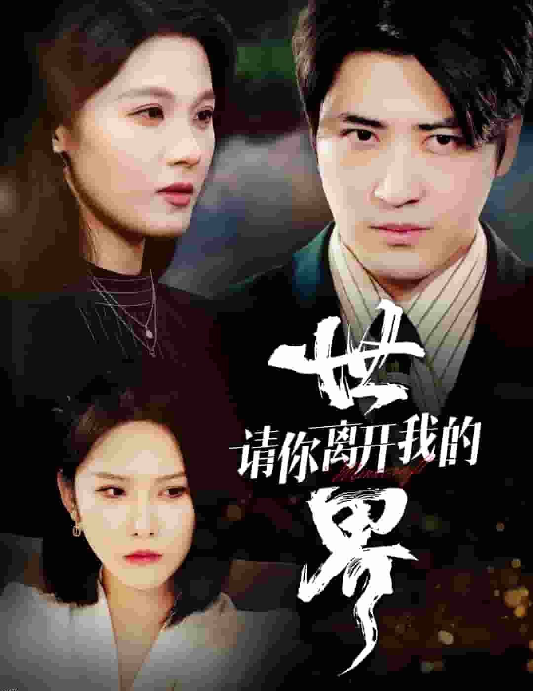 请你离开我的世界 高清海报