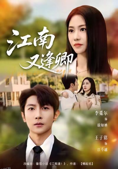 江南又逢卿 海报