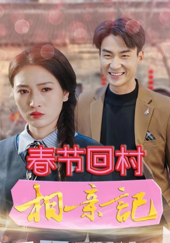 春节回村相亲记 海报