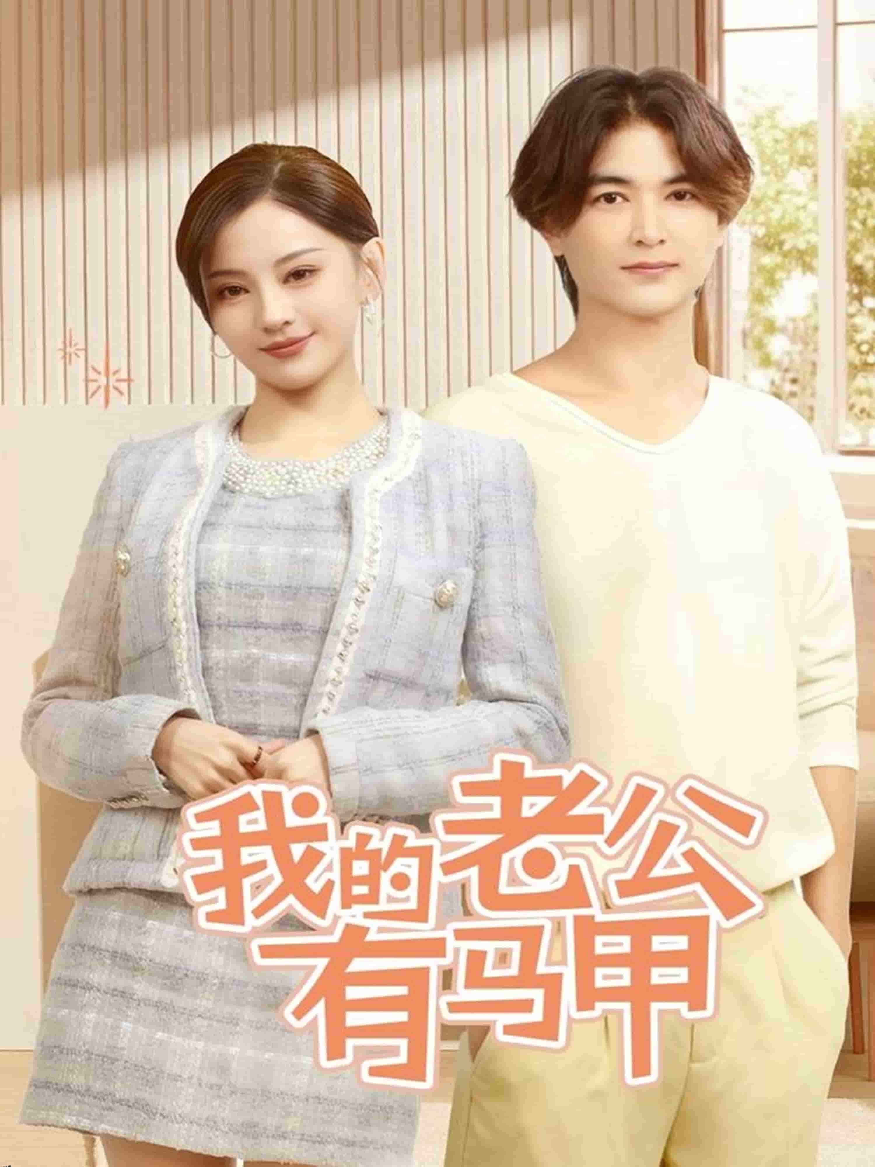 我的老公有马甲 海报