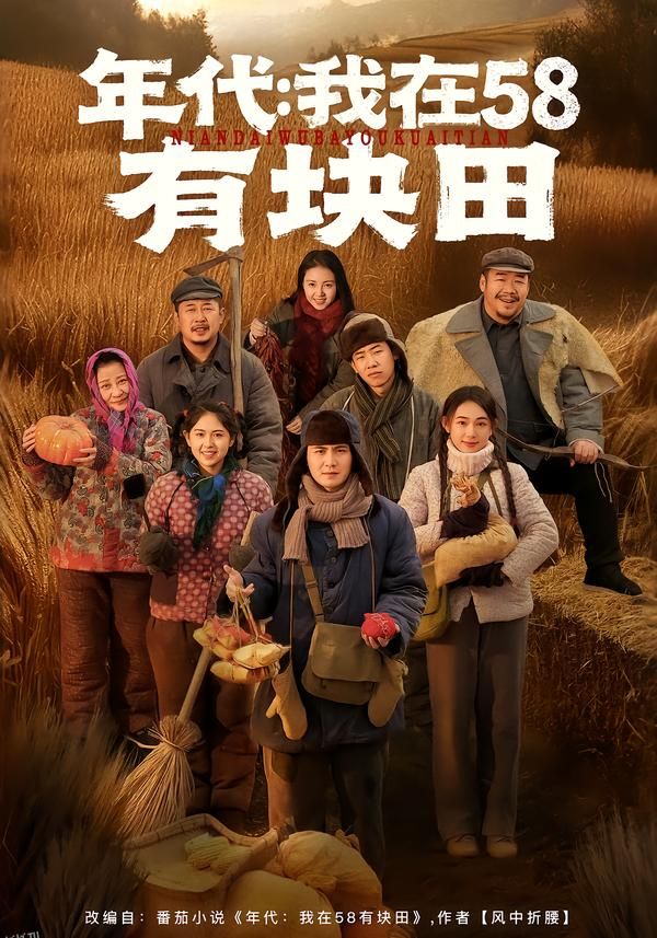 年代我在58有块田 海报