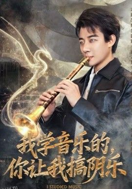 我学音乐的，你让我搞阴乐 海报