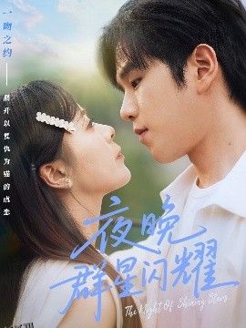 夜晚群星闪耀 海报