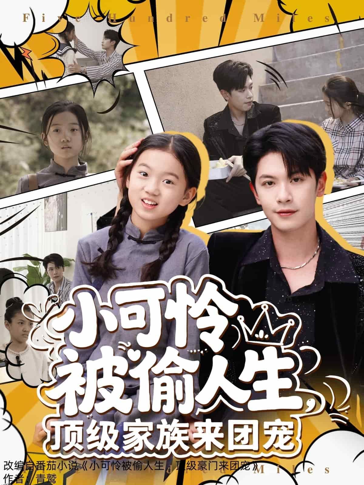 小可怜被偷人生，顶级家族来团宠 海报