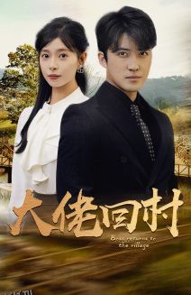 大佬回村 海报