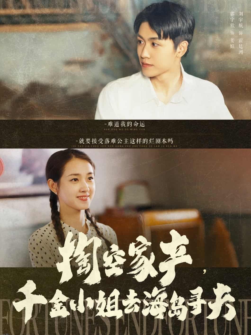 掏空家产，千金小姐去海岛寻夫 海报