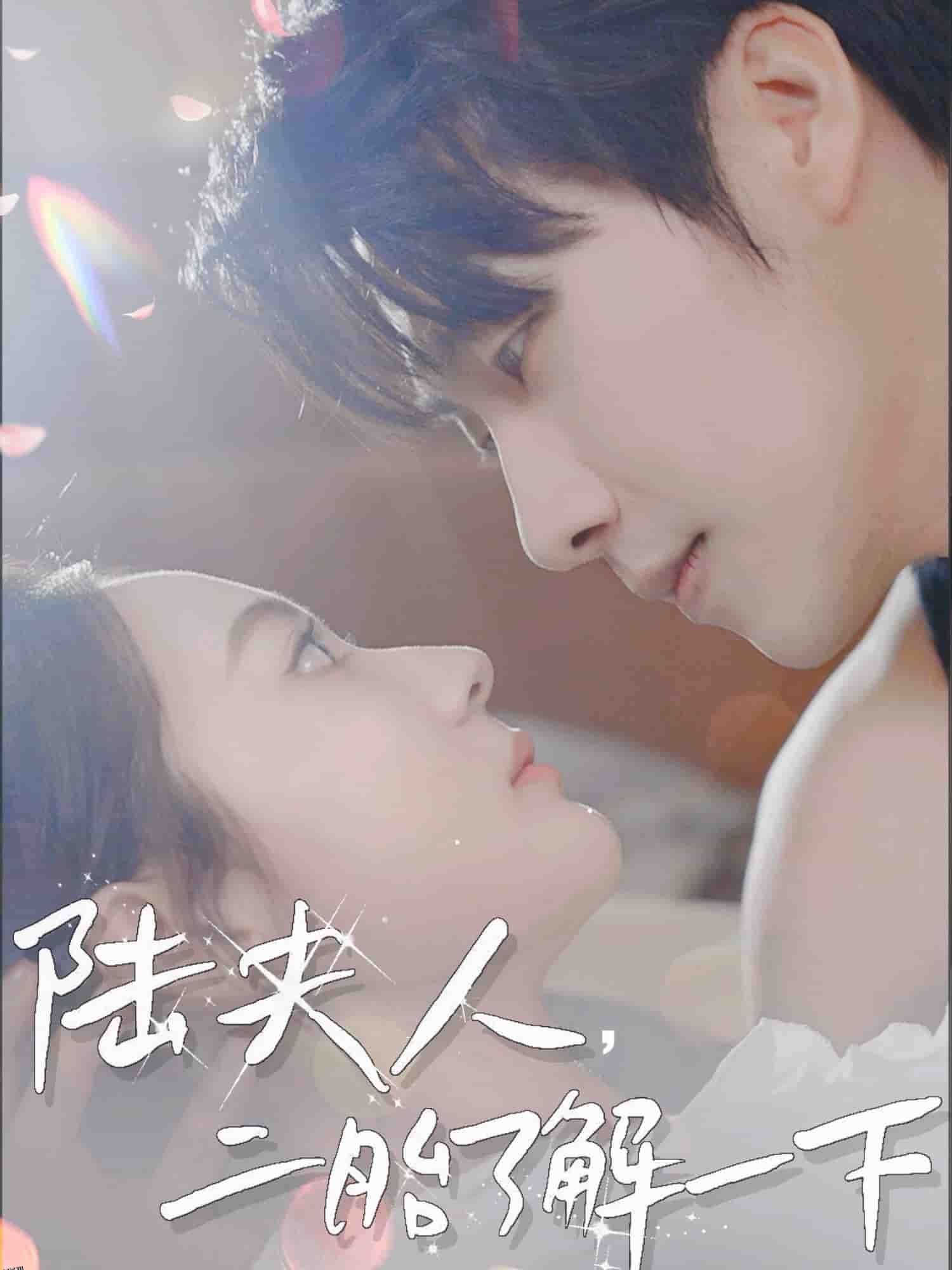 陆夫人，二胎了解一下 海报