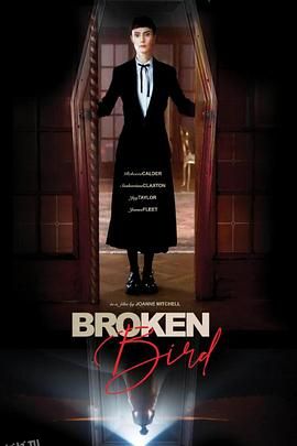 折翼鸟 海报