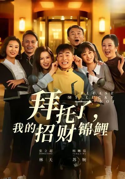 拜托了，我的招财锦鲤 海报