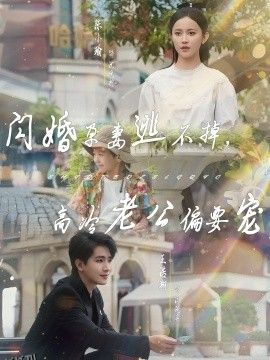 闪婚孕妻逃不掉，高冷老公偏要宠 海报