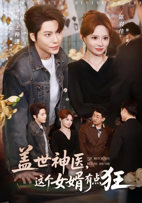 盖世神医，这个女婿有点狂 海报