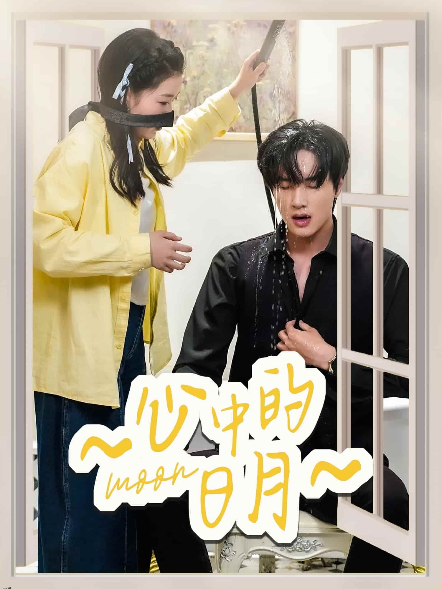 心中的日月 海报