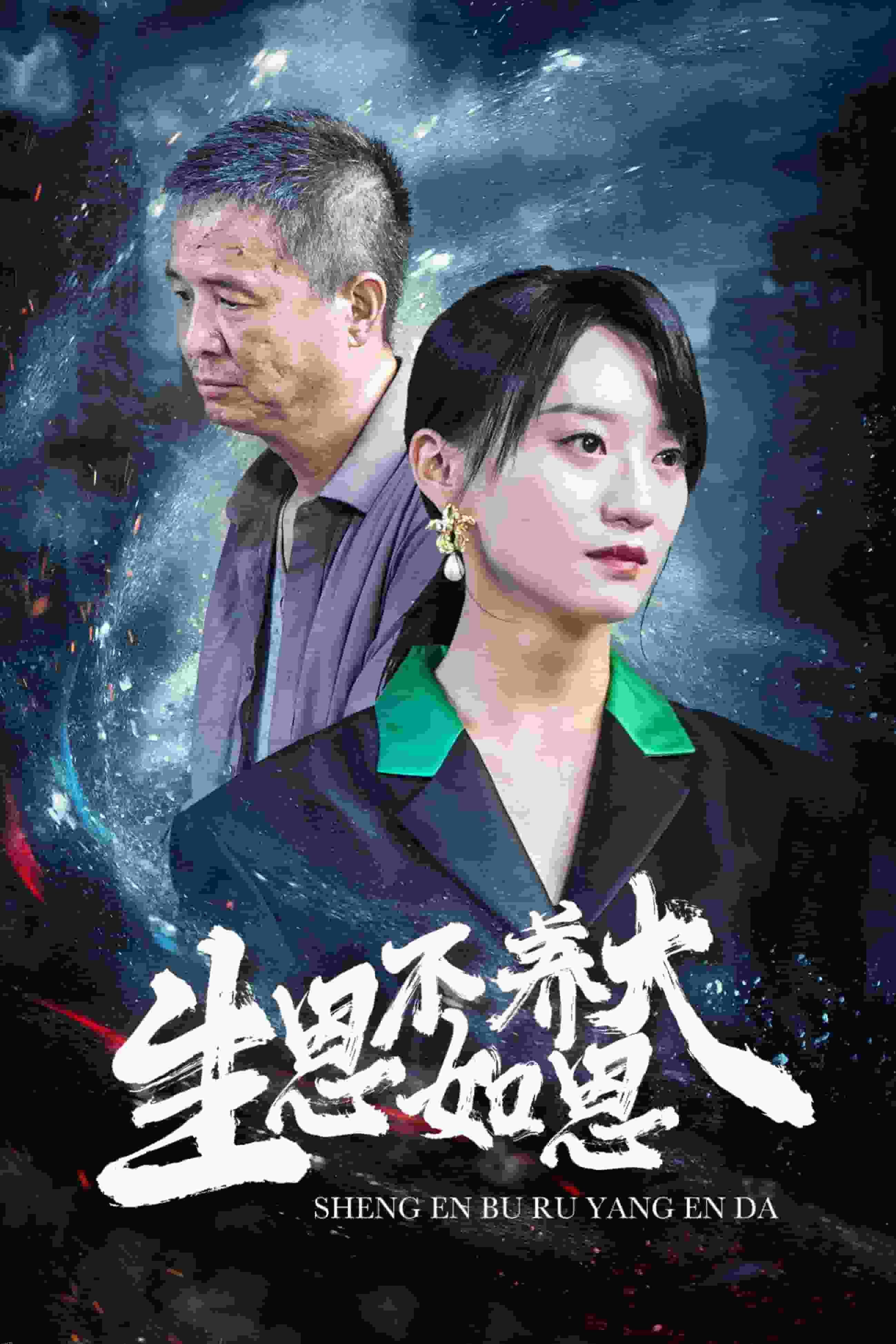 生恩不如养恩大 海报