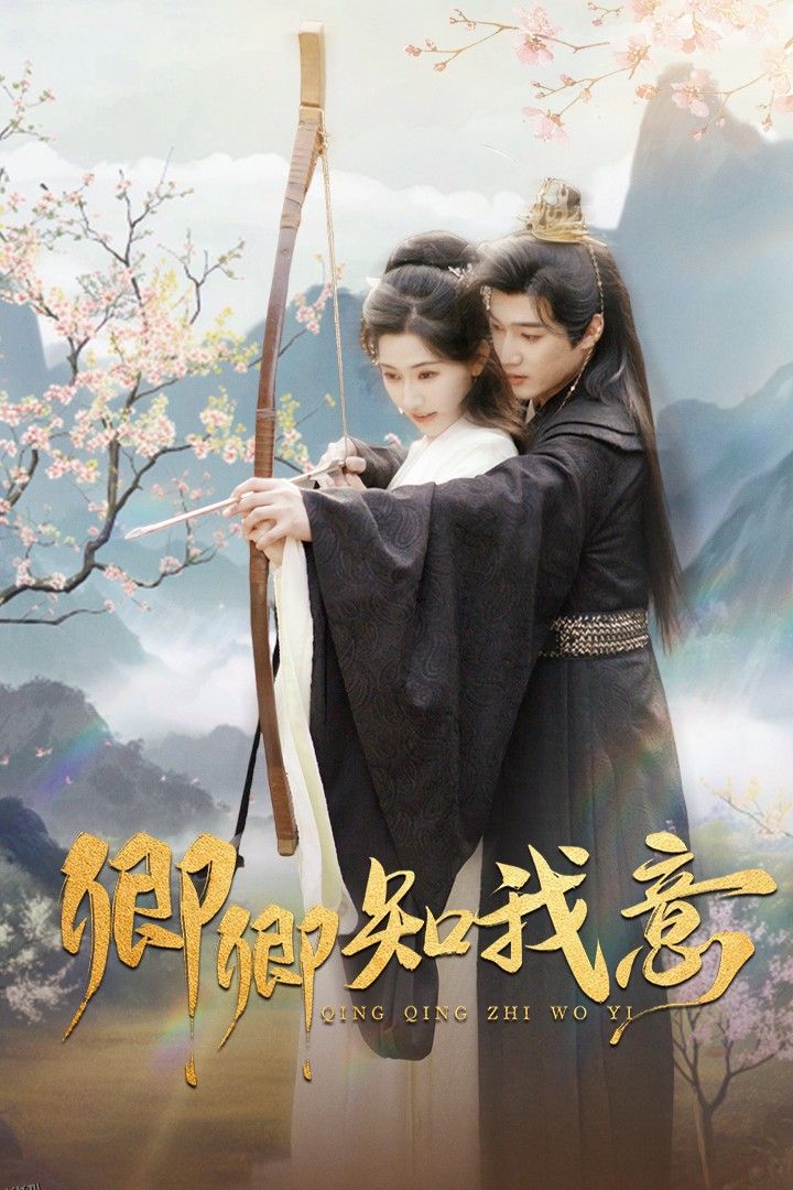 卿卿知我意 海报