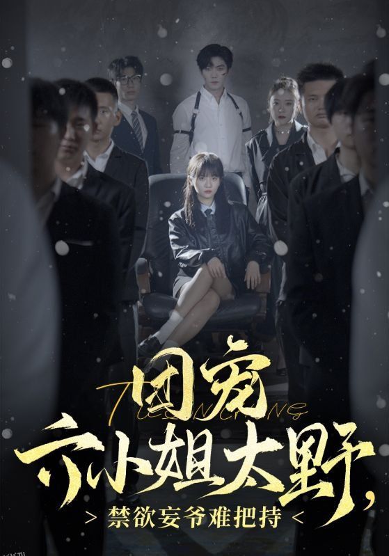 团宠六小姐太野，禁欲妄爷难把持 海报