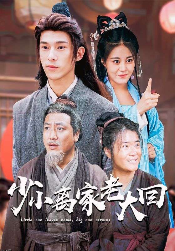 少小离家老大回 海报