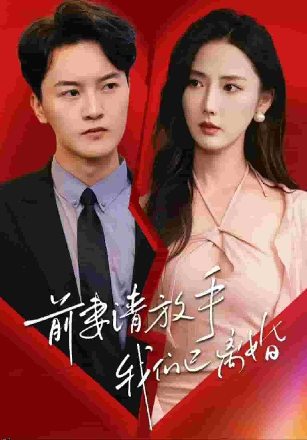 前妻请放手，我们已离婚 海报