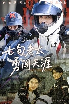 七旬老太勇闯天涯 海报