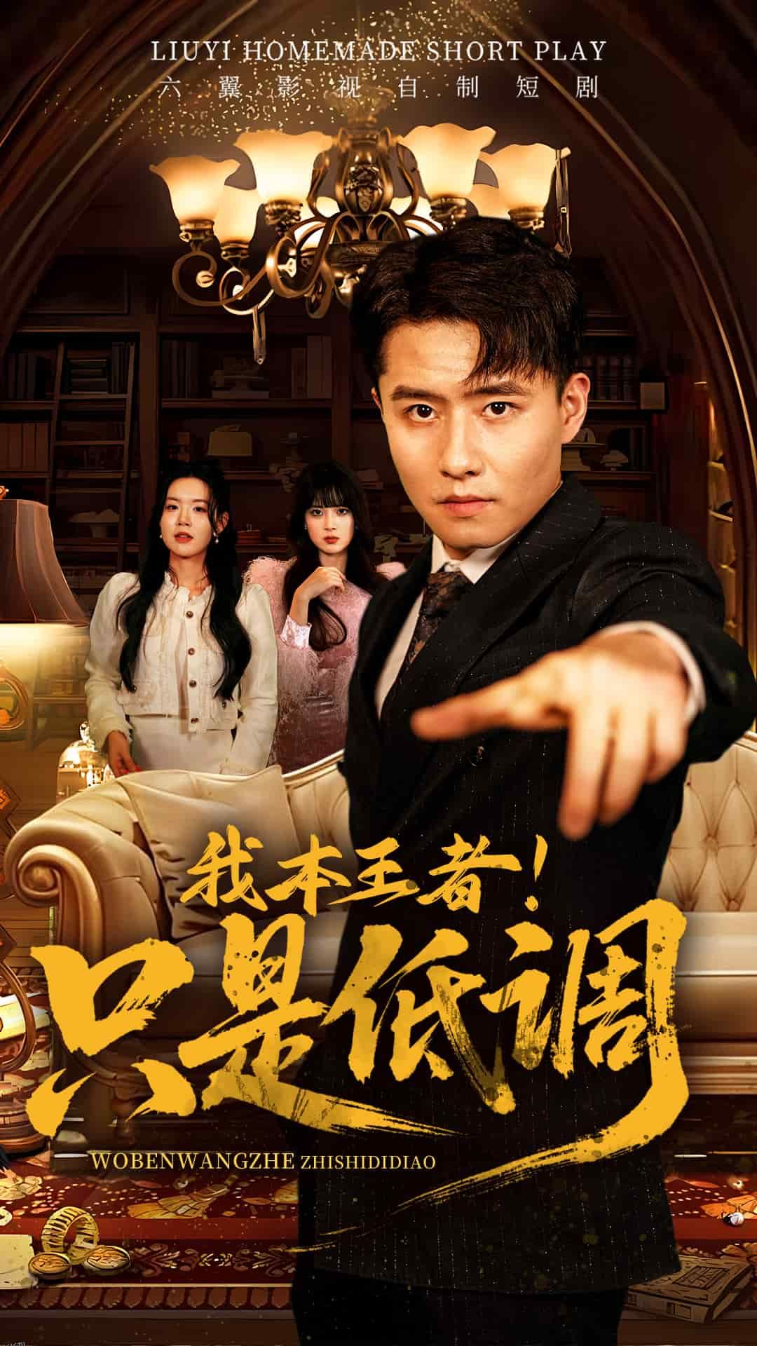 我本王者！只是低调 海报