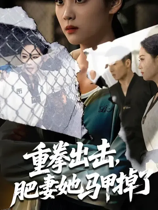 重拳出击肥妻她马甲掉了 海报