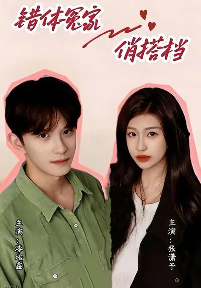 错体冤家俏搭档 海报