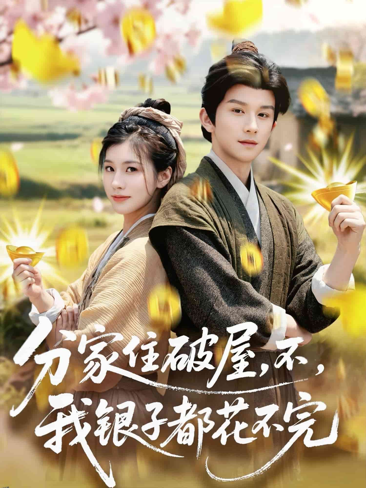 分家住破屋，不，我银子都花不完 海报