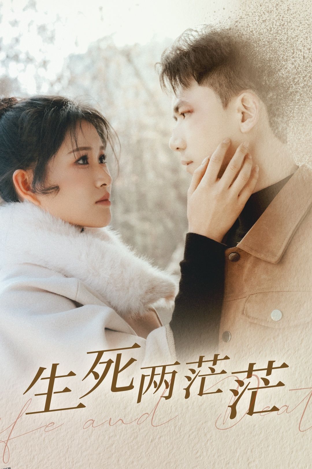 生死两茫茫 海报