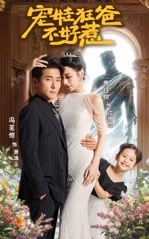 宠娃狂爸不好惹 海报