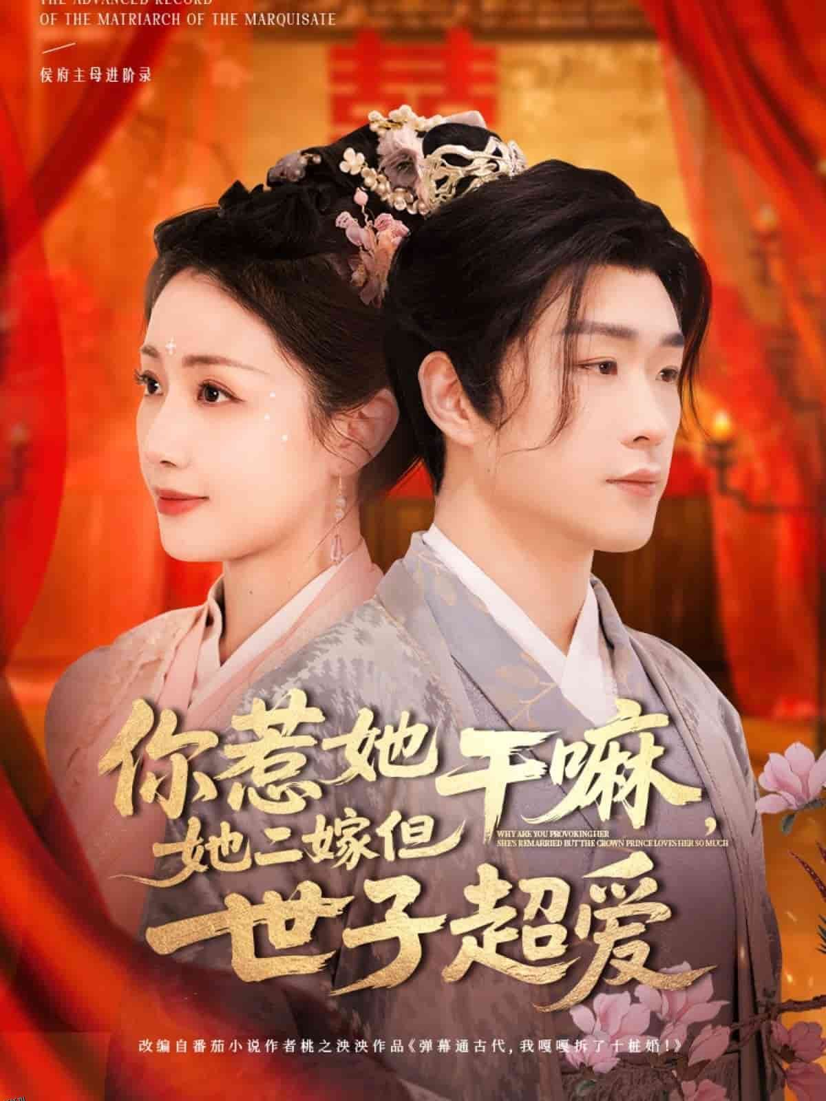 你惹她干嘛，她二嫁但世子超爱 海报