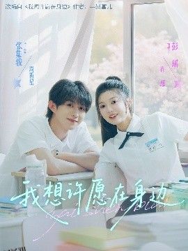 我想许愿在身边 海报